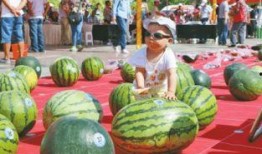 吃瓜网每日大赛 体育圈很乱天涯,吃瓜网每日大赛，天涯热议“很乱”真相